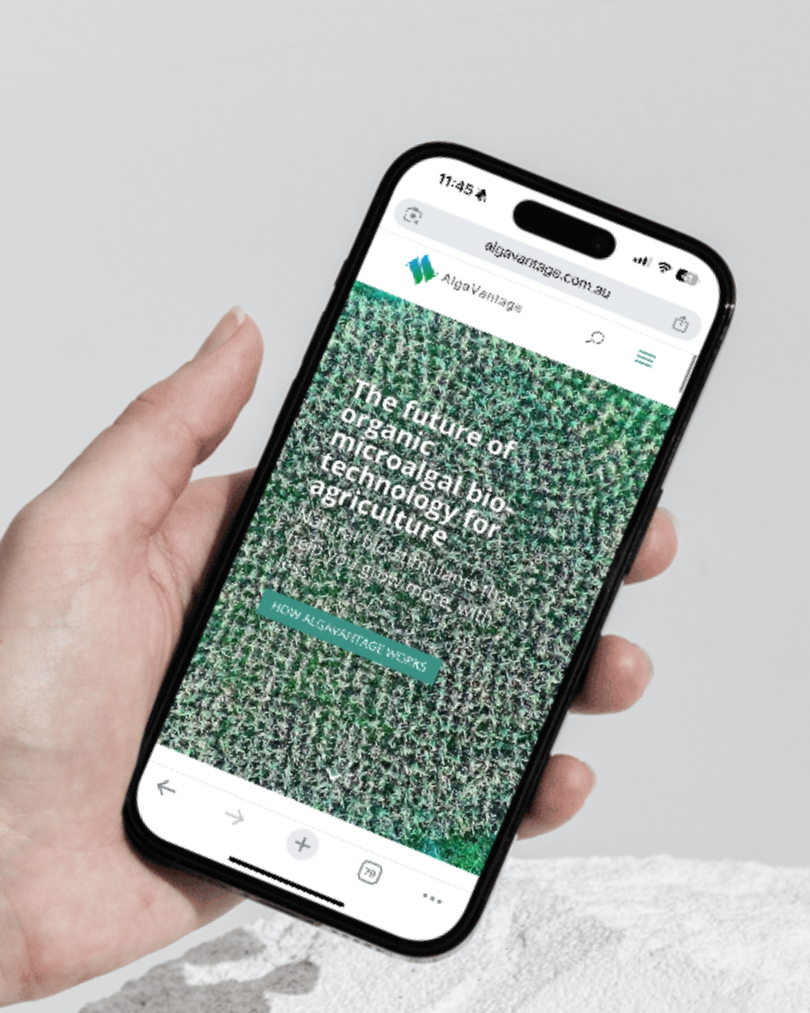 website-design-australia